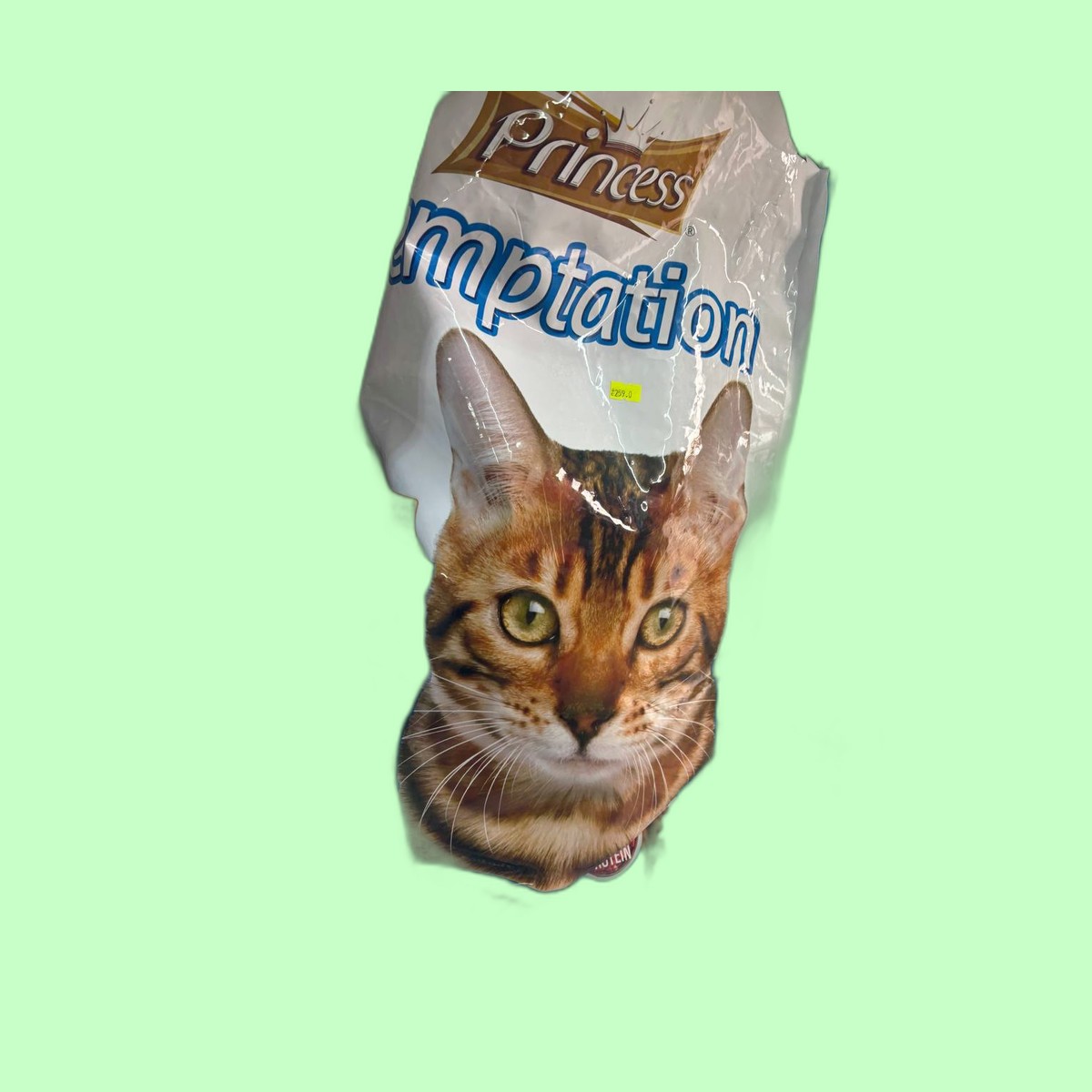 Princess Temptation