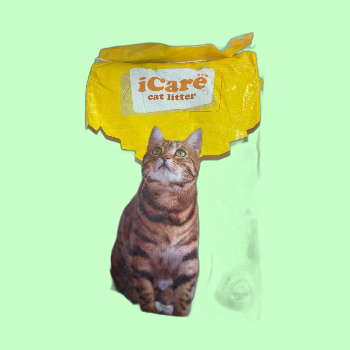 iCare Cat Litter