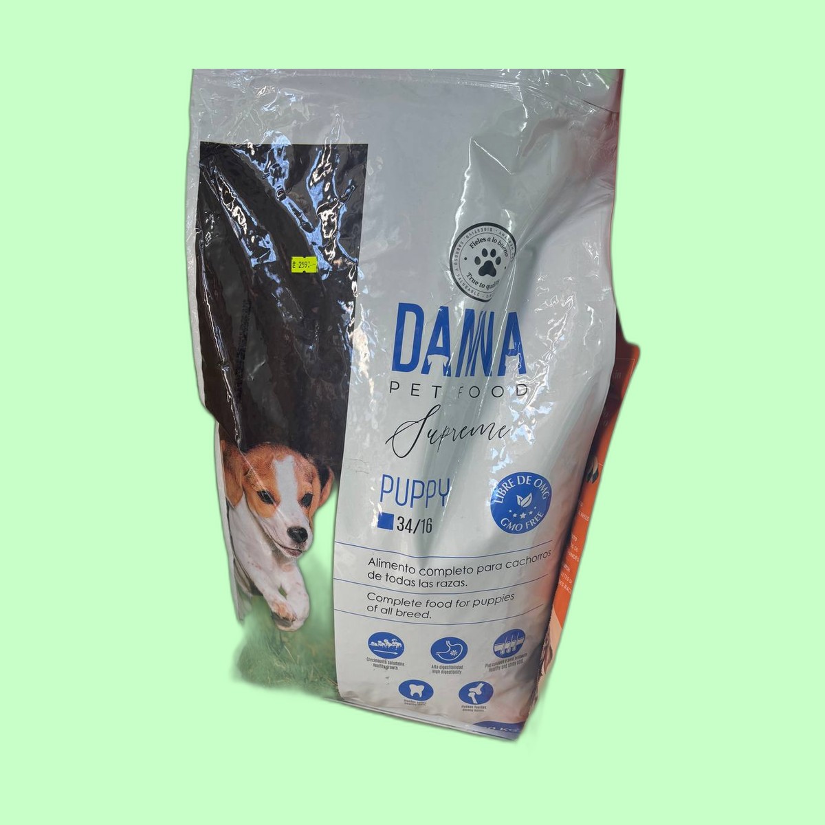 DAMA
